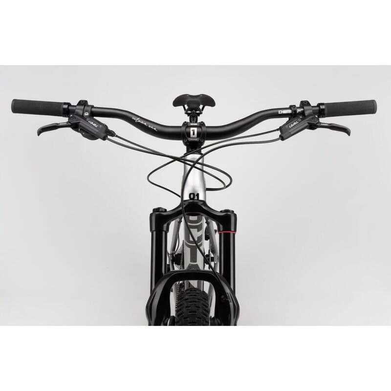 Hooner 29 Pouces - Argent – Image 4