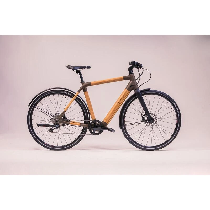 Le Vélo électrique Végétal Et éco-responsable à Cadre Haut