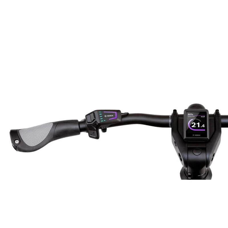 Reconditionné - VTC électrique Homage 4 GT Vario - Excellent état – Image 5